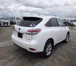 
										Lexus RX450H full									