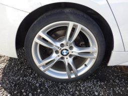 
										BMW 3 Series 320I M SPORT full									