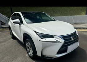 Lexus Hybrid NX 300