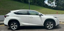 Lexus Hybrid NX 300