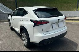 
										Lexus Hybrid NX 300 full									